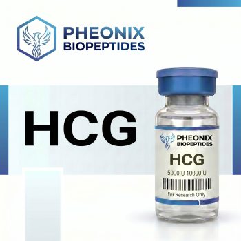 Buy HCG