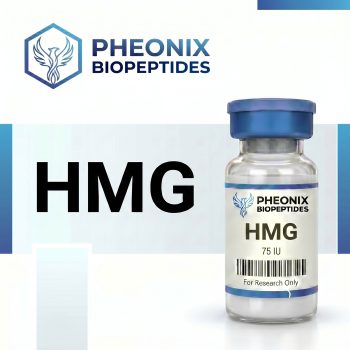 Buy HMG